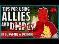 Pro Tips for Hirelings, Followers, NPCs, and DMPCs in D&D
