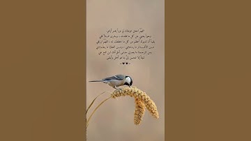 #هزاع_البلوشي - من سورة #الحجر