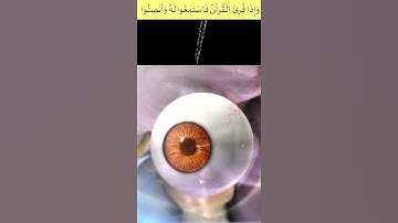 آيات عطرة من سورة طه بصوت يملأه الخشوع وفيديو جديد
