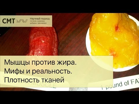 Видео: Разница между жиром и салом