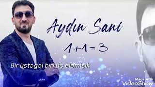 Aydın Sani 1+1=3 Resimi