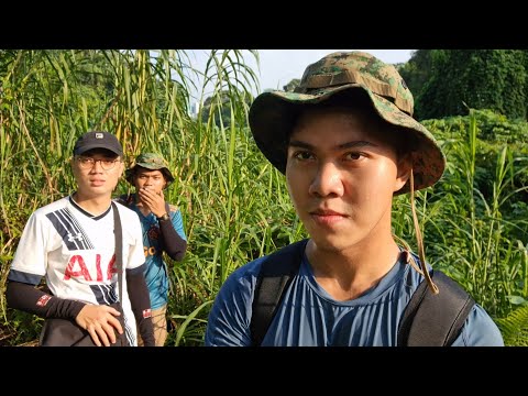 Clementi Forest - The Adventure | A Cinematic Vlog