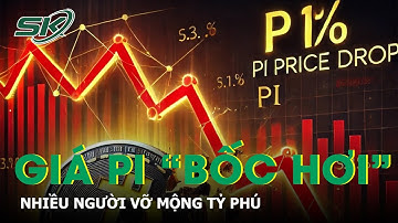 Giá Pi “rơi tự do” khiến nhiều người vỡ mộng tỷ phú | SKĐS