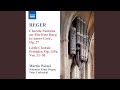 Miniature de la vidéo de la chanson Romanze Op. 80,8
