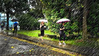 RAIN Walking In VERY Heavy Thunderstorm Along Quiet HDB Estate : Telok Blangah Heights Singapore by Ambient Walking 800 views 3 months ago 12 minutes, 37 seconds