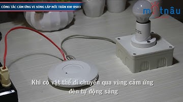 Review công tắc cảm ứng vi sóng lắp nổi trần KW-RS03 - www.matnau.vn