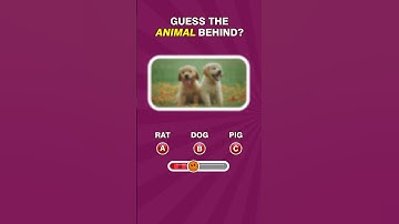 Challange No 230 | Flicktale #riddle #guess #games #puzzles #brainteasers #Challange #whatami