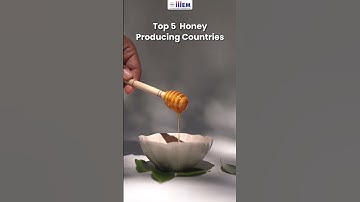 🍯 Top Honey Producing Nations | Where Does the Best Honey Come From? | iiiEM Shorts
