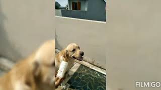 Maddy Ko Nehala Diyamaddys Bathing Vdo On Demand