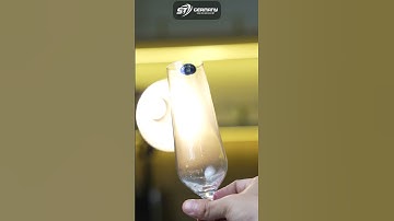 Bộ 6 ly champange pha lê Bohemia Strix 200ml | Biểu tượng của sự đẳng cấp và sang trọng #shorts