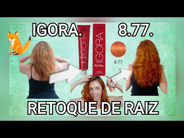 Igora 8.77 - Retoque de raiz 