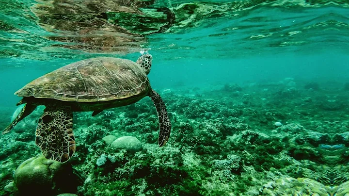 You & Me: Relaxing Piano Music & Soft Rain Sounds For Sleep & Relaxation by Peder B. Helland