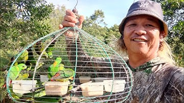 Pemikat gengster muda vs serindit liar port legand tompinai.