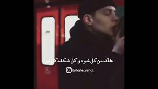 اشتیاقی که به دیدار تو دارد دل من...🥺💞