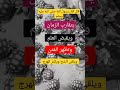 اللهم ارحمنا فانك بنا راحم ولا تعذبنا فانت علينا قادر