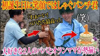 パンチくん🐵】【祝・1歳🎁】大好きな2人のパパとオランママが勢揃い