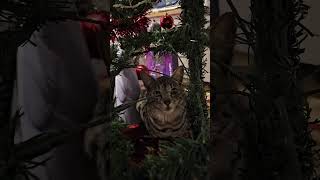 Katlin Being Playful