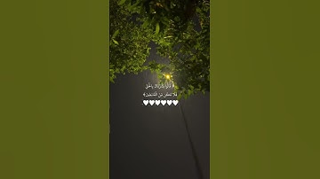 سورة الحجر - الآية 55