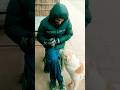 Befizool Lafzon Ke Bina Pyar 🐕❤️ | Short Video #flowers #shorts