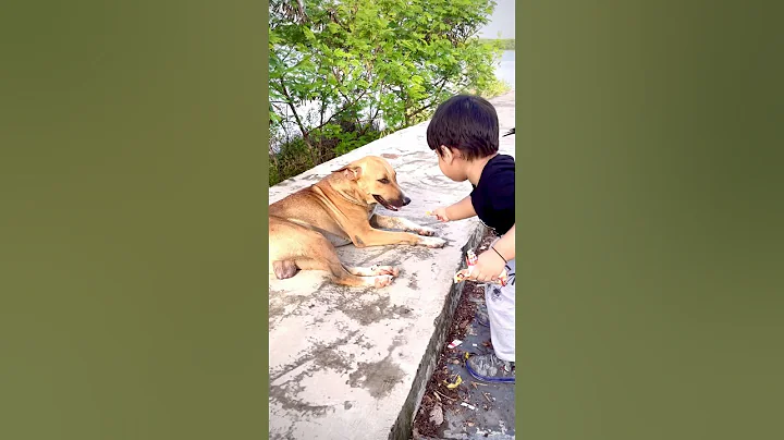 Gareeb Bacche ne doggy ko biscuit khilai😭#shorts #short #ytshorts #youtube