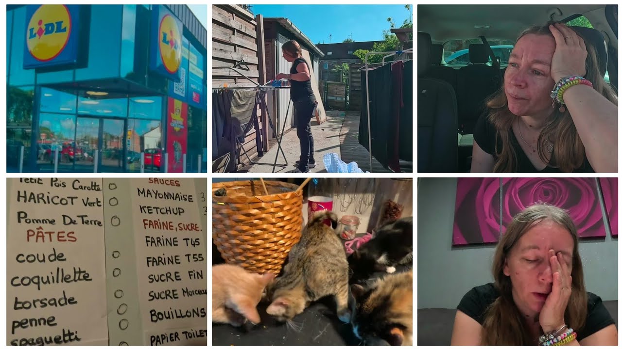 La course. Planning stock. Lidl. Coiffeur.. Mardi 09 septembre VLOG