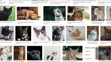 Build Mobile Apps Without Coding with AppsMasterBuilder.Com: Find Images For Free Commercial Usage