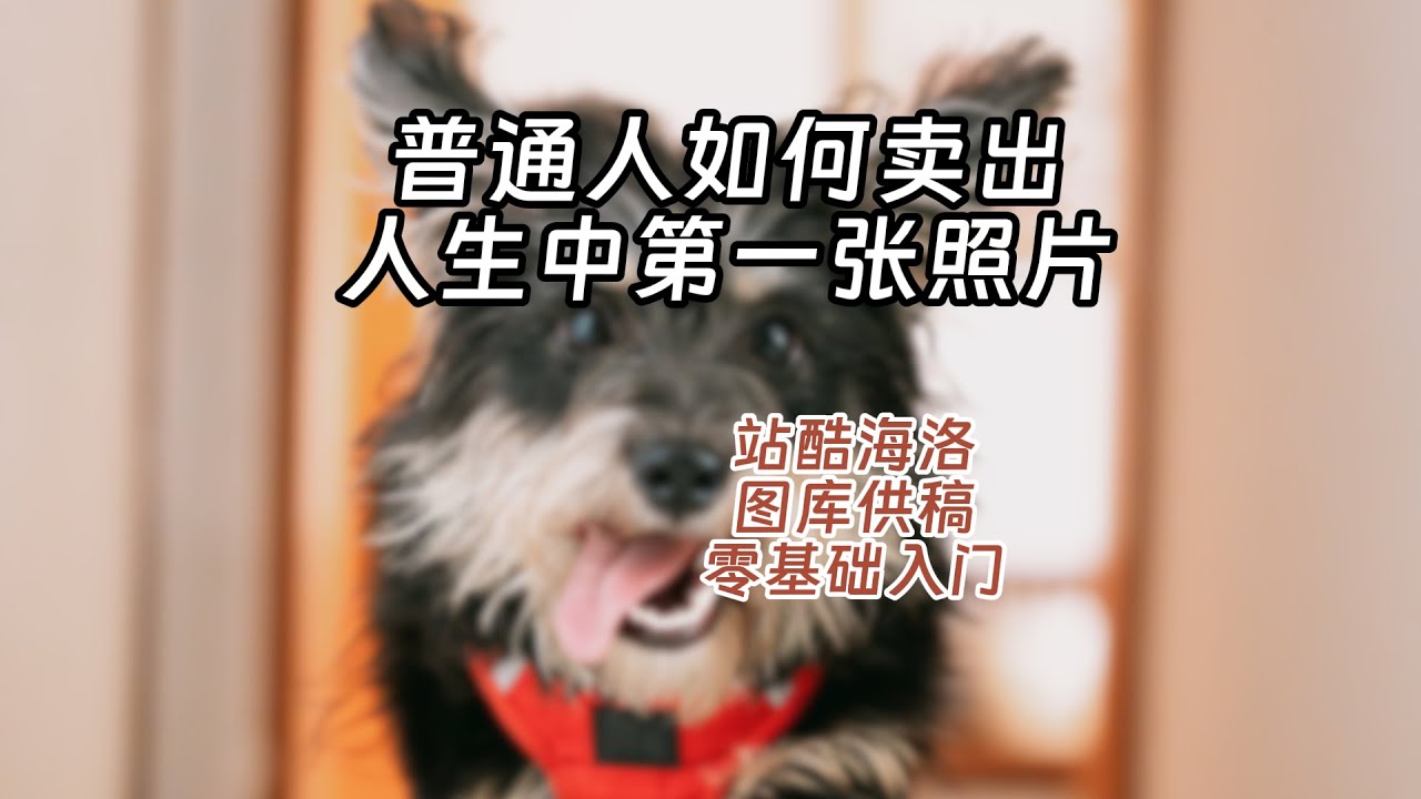 普通人如何卖出第一张照片？站酷海洛签约全流程实操 比视觉中国简单 手机相机作品均可上传