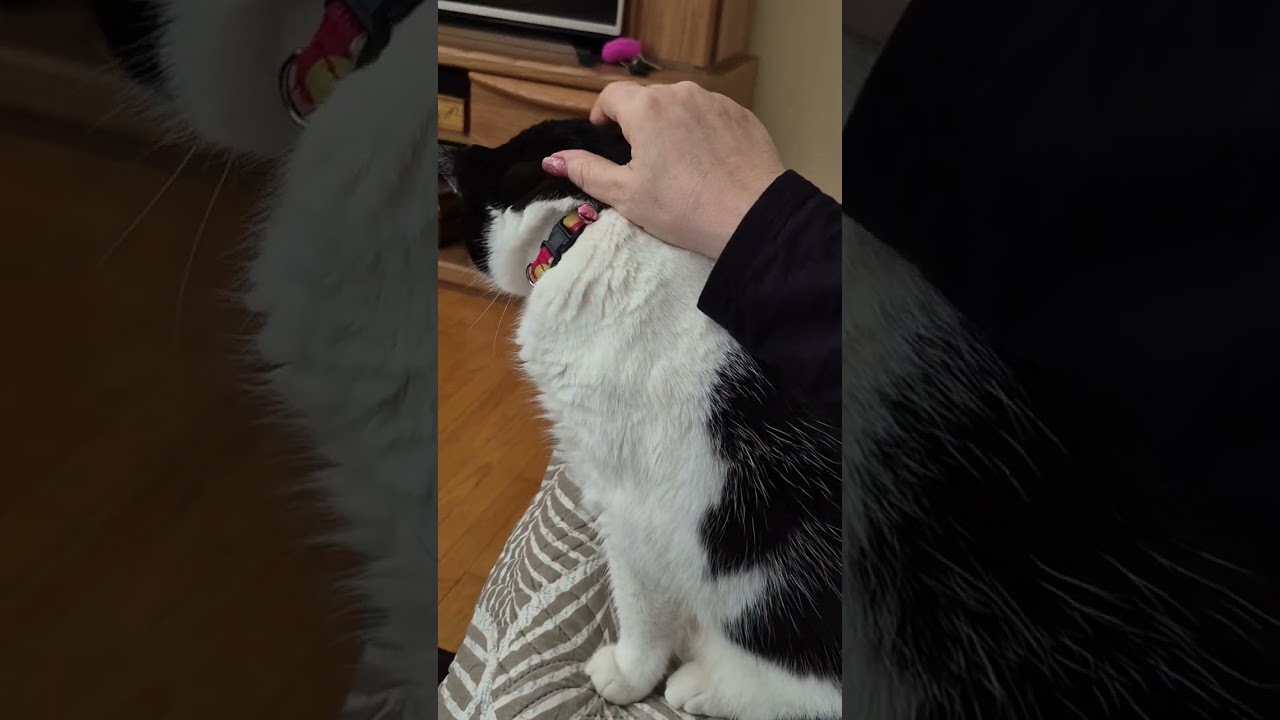 Аудиокнига.  Железников.  Чучело. Часть 1