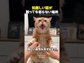 気難しい猫が触っても怒らない場所
