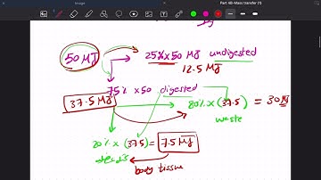 Part (4) MB | lecture (1) “conservation of mass and energy”