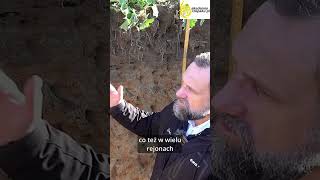 Deszcz JESIENIĄ = Zagrożenie dla Rzepaku? 🌧️ Zobacz, jak ratować plon!