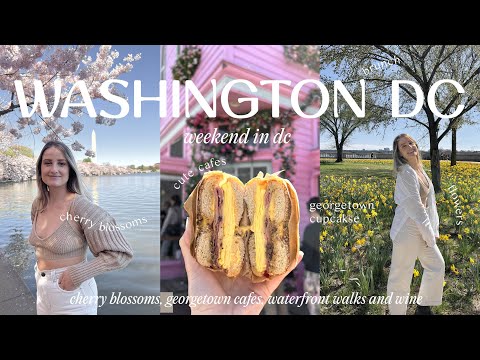 Video: Cherry Blossoms-kaarte vir Washington, DC