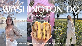 DC Vlog 🌸 Cherry blossoms, Georgetown cafes, Spring flowers, Dessert spots, Natural wine bar