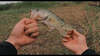 낚시할때 절대 핸드폰 하지 마세요!! - 예산 저수지 배스낚시를 가다(예당저수지)