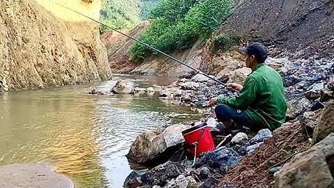 Câu Cá Suối Với Một Cây Cần Tay ✅✅✅