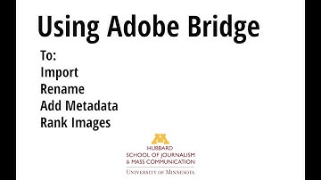 Using Bridge to import, rename, add metadata and rank your images