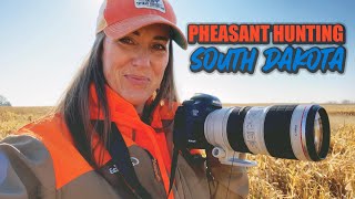 Pheasant Hunting in South Dakota - A1 Al's Pheasant Ranch by Tammy Bashore 1,278 views 1 year ago 2 minutes, 51 seconds