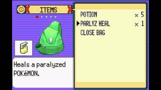 Playing Pokémon Emerald for the first time