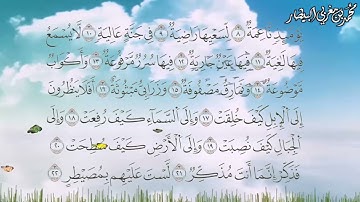 سورة الغاشية برواية السوسي عن أبي عمرو البصري - الشيخ محمد بن مغربي البيطار