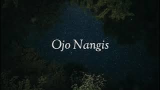 Ojo nangis lirik - Ndarboy Genk (cover woro widowati)