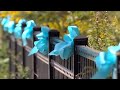 Gabby Petito's hometown honors her memory with ribbons