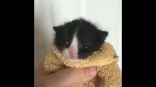 Where Am I? Where Is Reznov? - Youtube Where Am I? Where Is Reznov? - Youtube