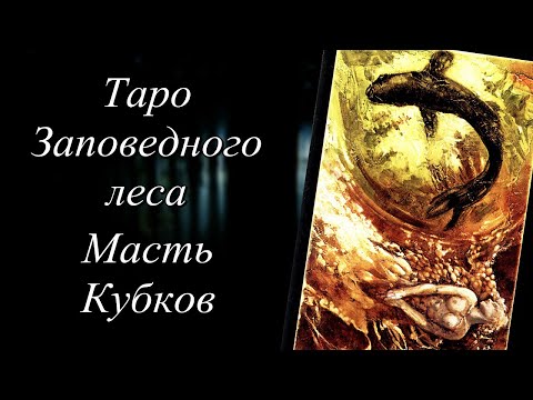 Таро Заповедного леса. Масть Кубков.