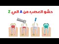 Endo from A to Z ( lower molars )