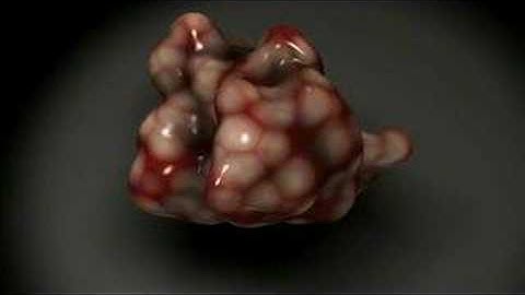 Blender displacement test with brain 2