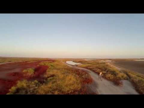 Бердянские лиманы