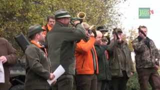 DJZ-TV: Große DJZ-Drückjagd in Bad Camberg 2012