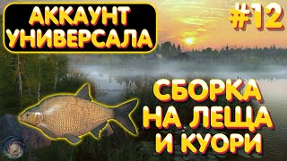 картинка: Аккаунт универсала #12 | Сборка на ЛЕЩА и КУОРИ | Прокачка наживки и прикормки | Русская Рыбалка 4
