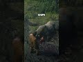 3 Rare Weapons and Items Locations in Red Dead Redemption 2
