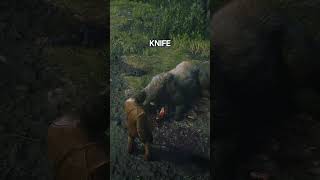 3 Rare Weapons and Items Locations in Red Dead Redemption 2